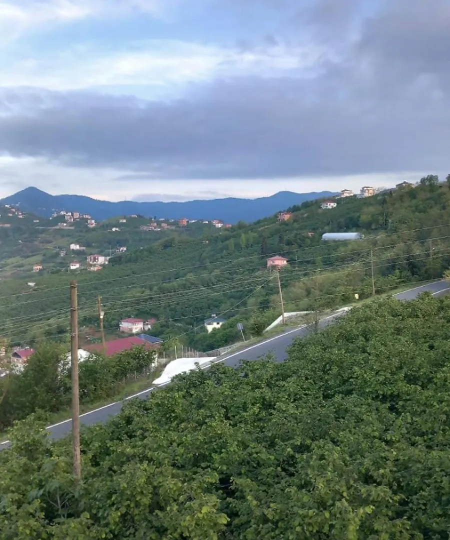 Bitek Bungalov Trabzon 0*,  Turcja